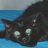 madcat